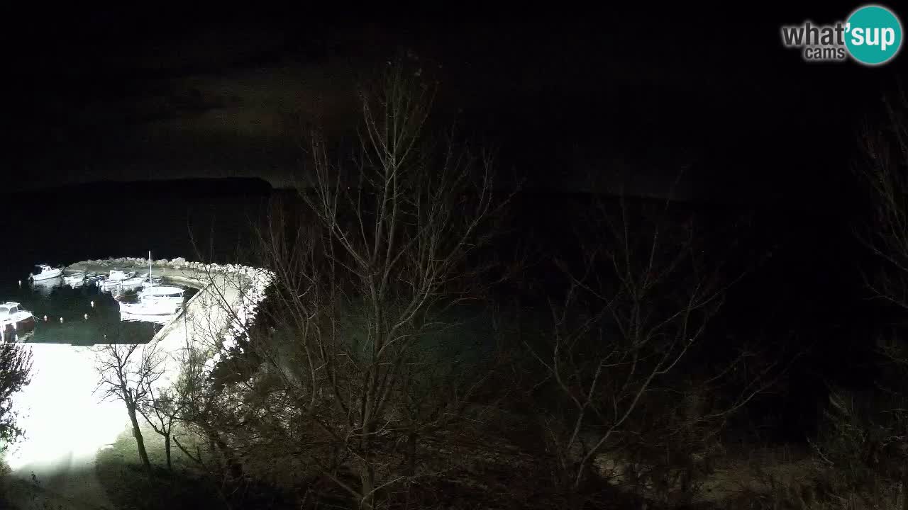 Kamp Odmoree spletna kamera Ražanac – Dalmacija