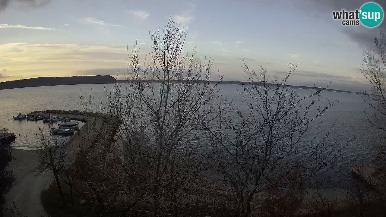 Kamp Odmoree spletna kamera Ražanac – Dalmacija