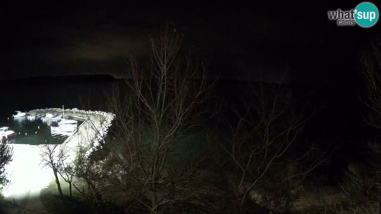 Kamp Odmoree spletna kamera Ražanac – Dalmacija
