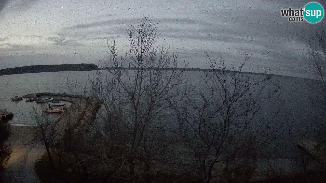 Kamp Odmoree spletna kamera Ražanac – Dalmacija