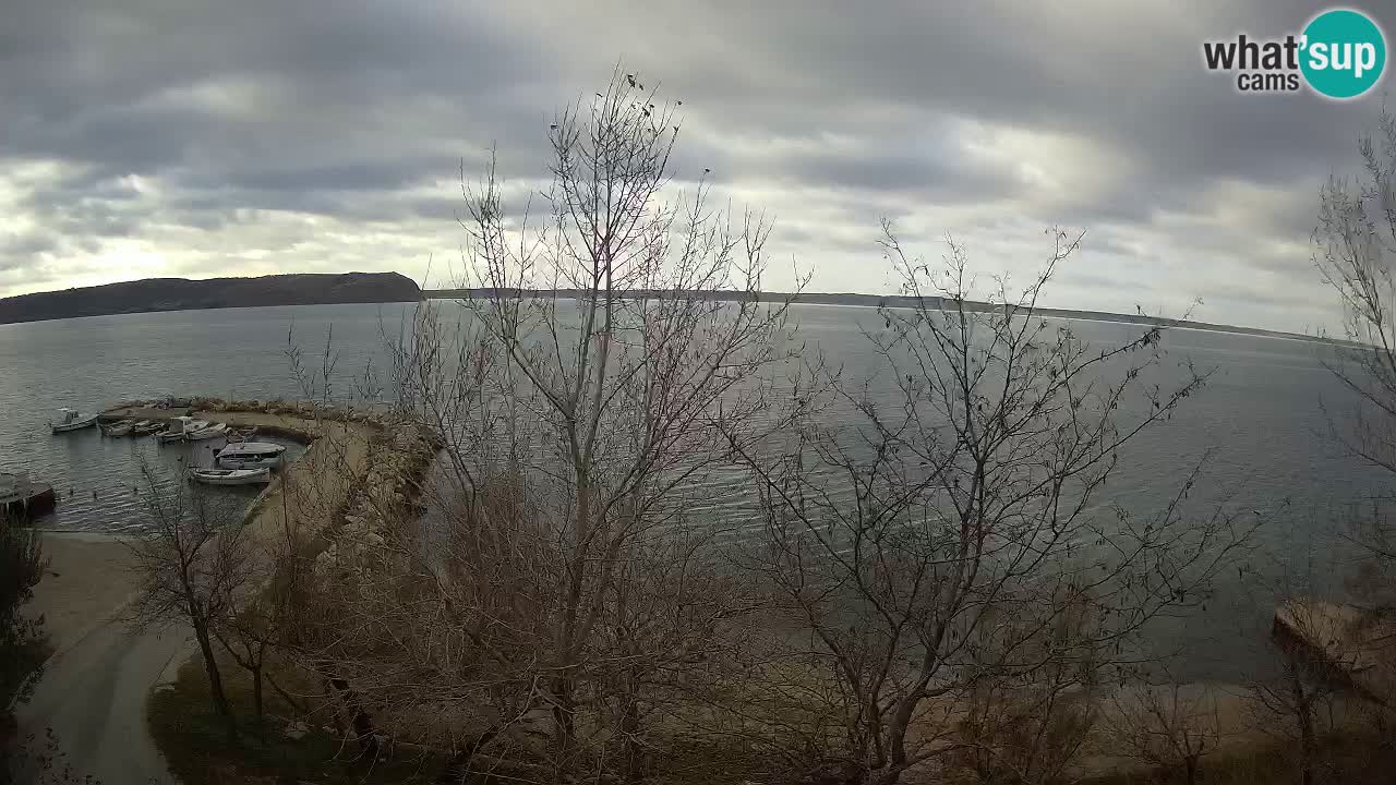 Camping Odmoree camera en vivo Ražanac – Dalmacia