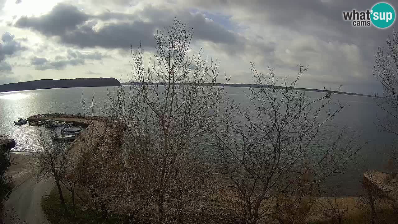 Kamp Odmoree spletna kamera Ražanac – Dalmacija