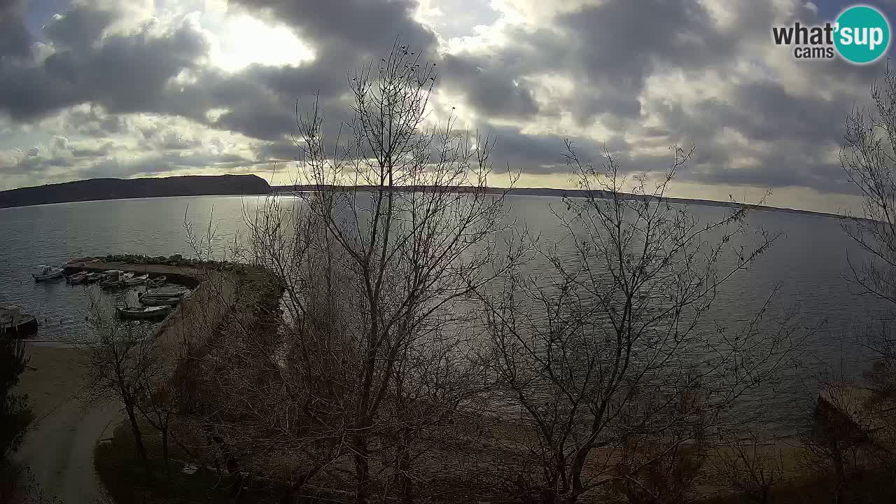 Camping Odmoree live cam Ražanac – Dalmatie