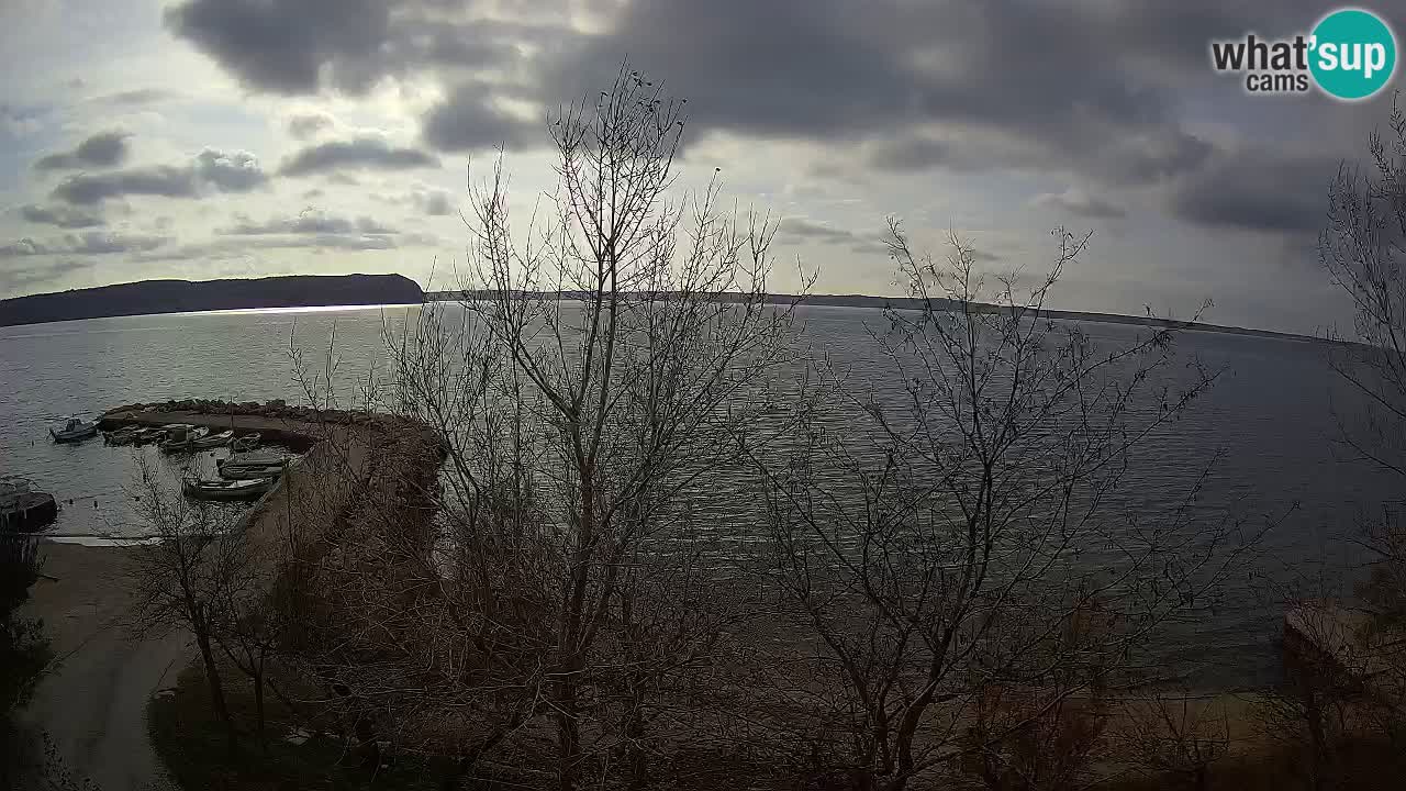 Camping Odmoree live cam Ražanac – Dalmatie