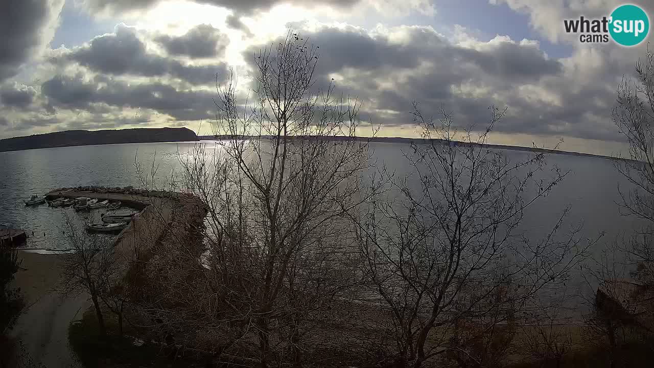 Kamp Odmoree spletna kamera Ražanac – Dalmacija