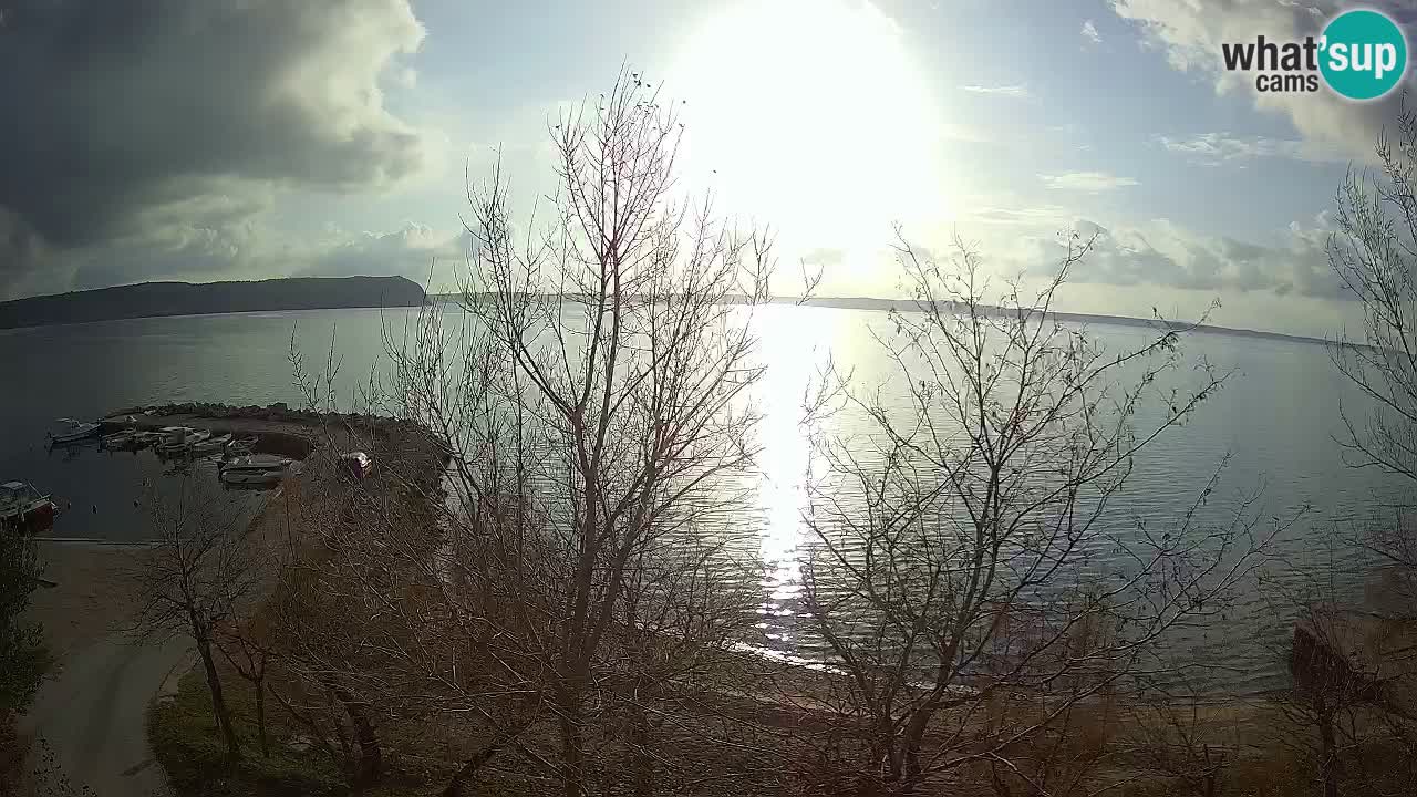 Kamp Odmoree spletna kamera Ražanac – Dalmacija