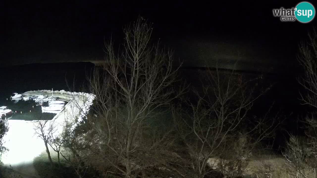 Kamp Odmoree spletna kamera Ražanac – Dalmacija