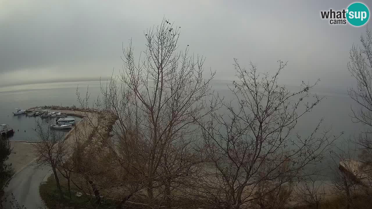 Camping Odmoree webcam Ražanac – Dalmatia