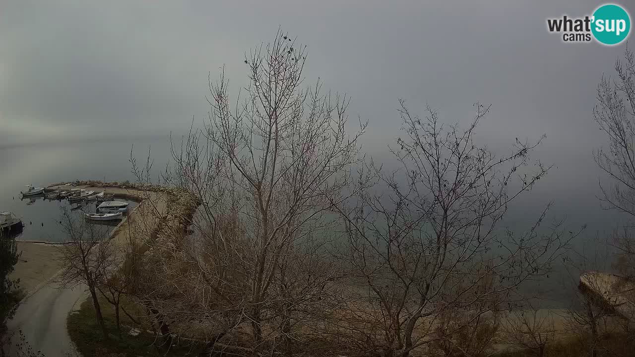 Camping Odmoree webcam Ražanac – Dalmatia