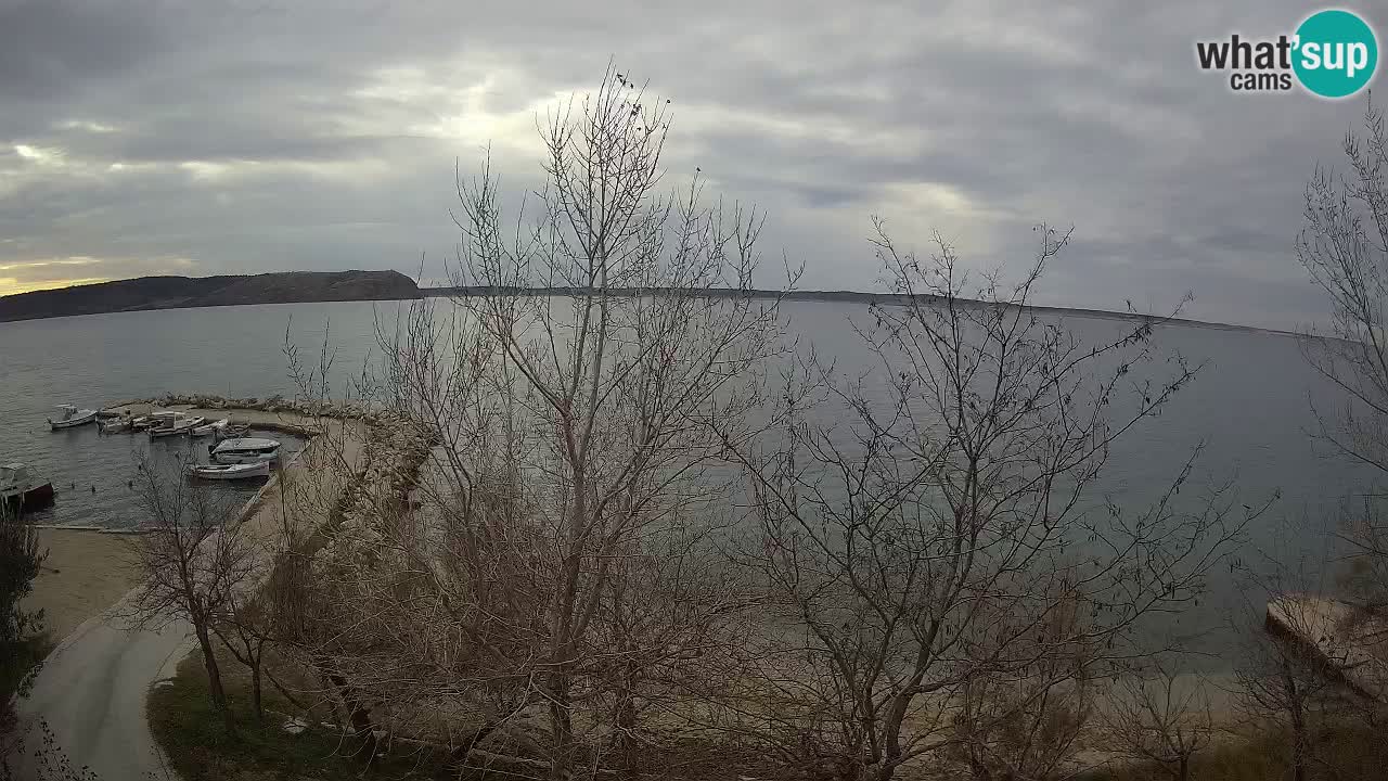 Kamp Odmoree spletna kamera Ražanac – Dalmacija