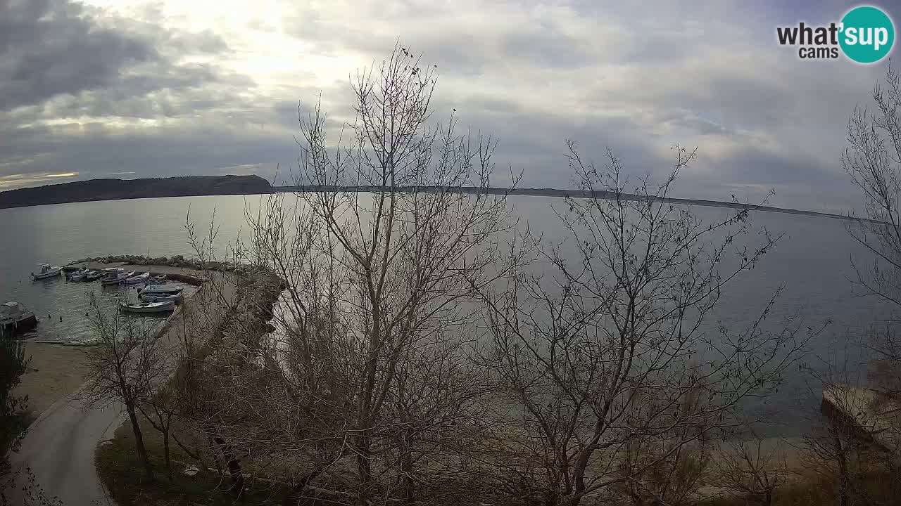 Camping Odmoree web kamera Ražanac – Dalmacija