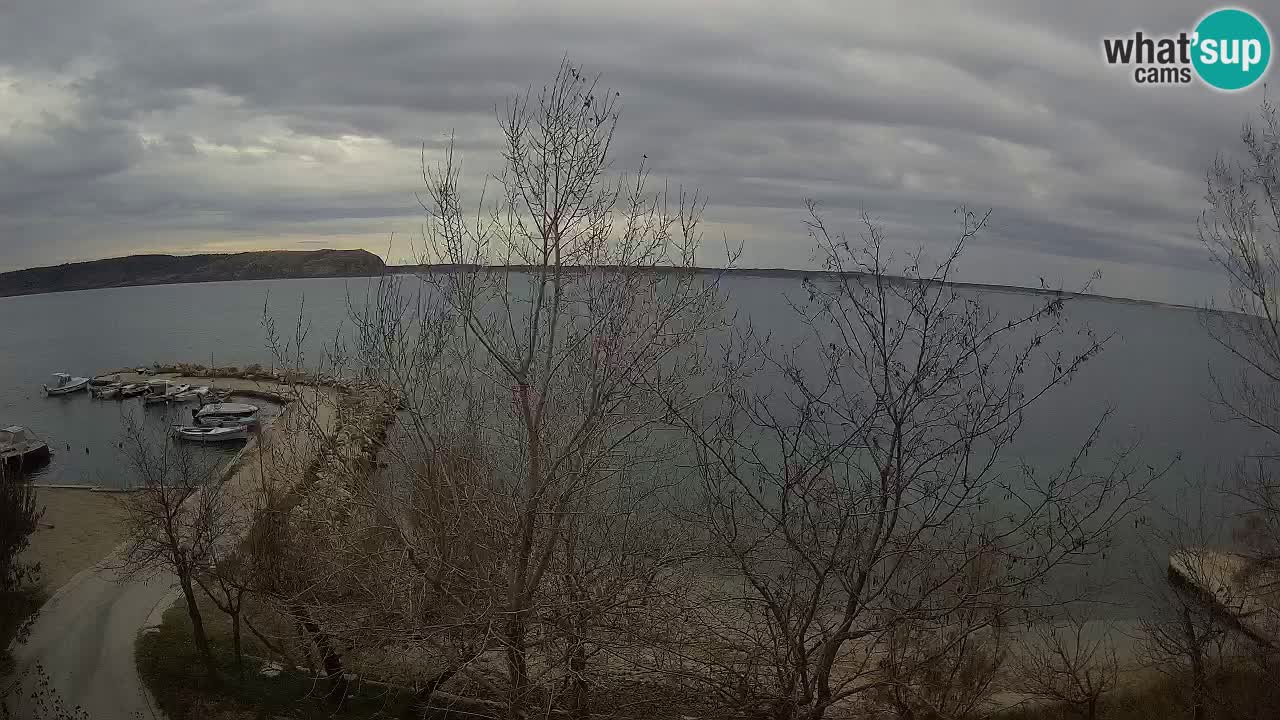 Kamp Odmoree spletna kamera Ražanac – Dalmacija