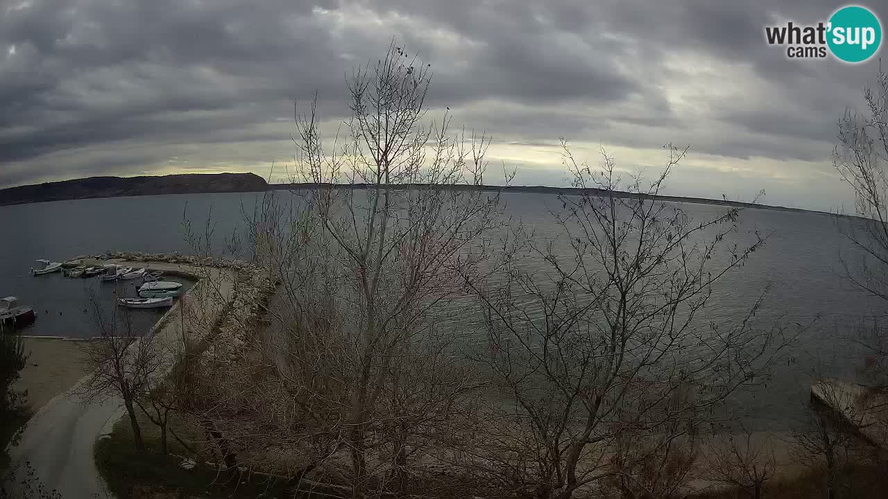 Kamp Odmoree spletna kamera Ražanac – Dalmacija