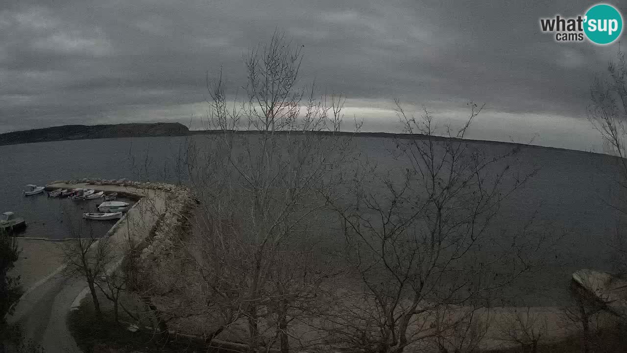 Kamp Odmoree spletna kamera Ražanac – Dalmacija
