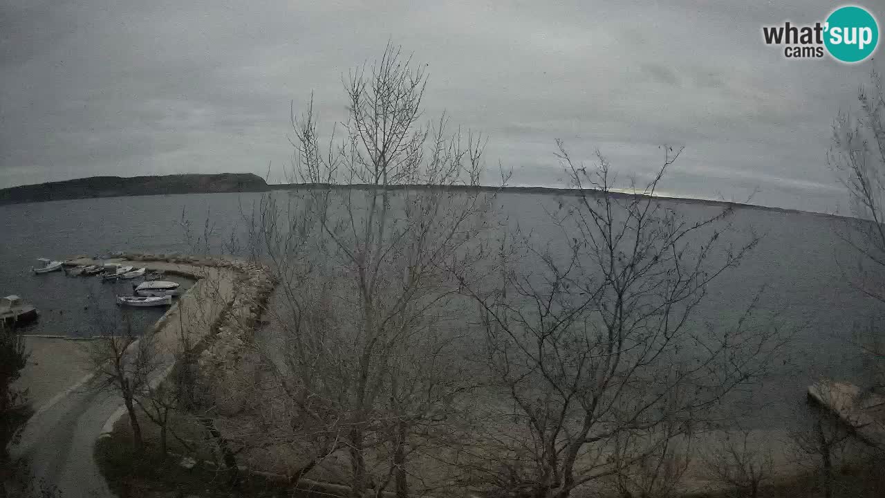 Camping Odmoree webcam Ražanac – Dalmazia