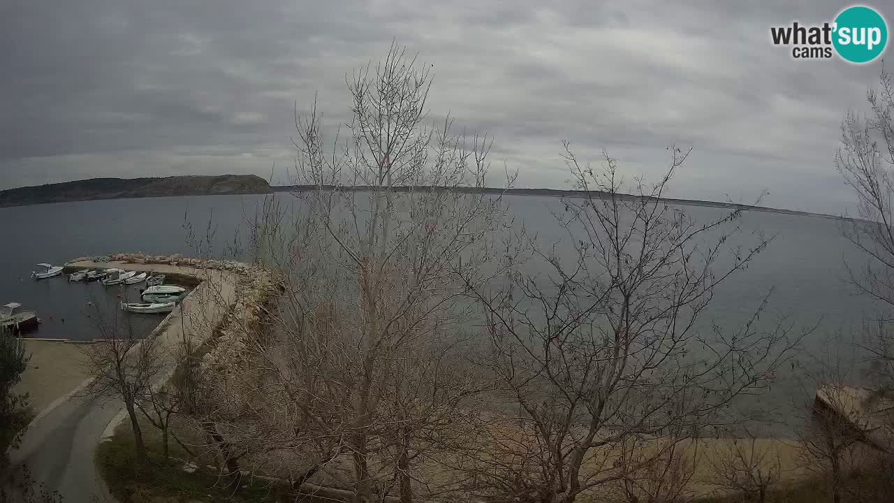 Camping Odmoree camera en vivo Ražanac – Dalmacia