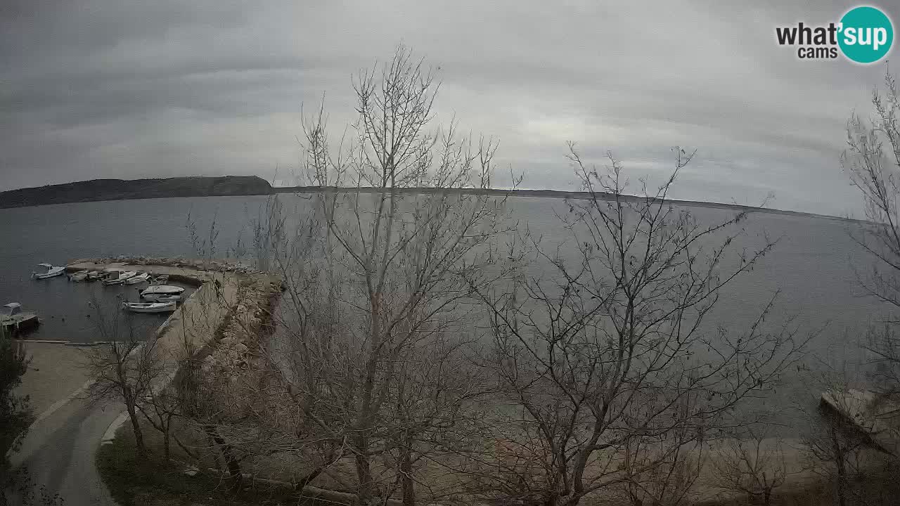 Camping Odmoree web kamera Ražanac – Dalmacija