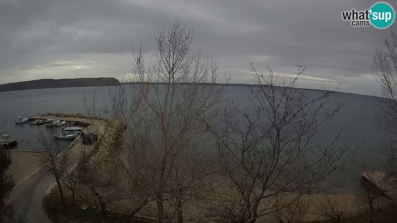 Kamp Odmoree spletna kamera Ražanac – Dalmacija