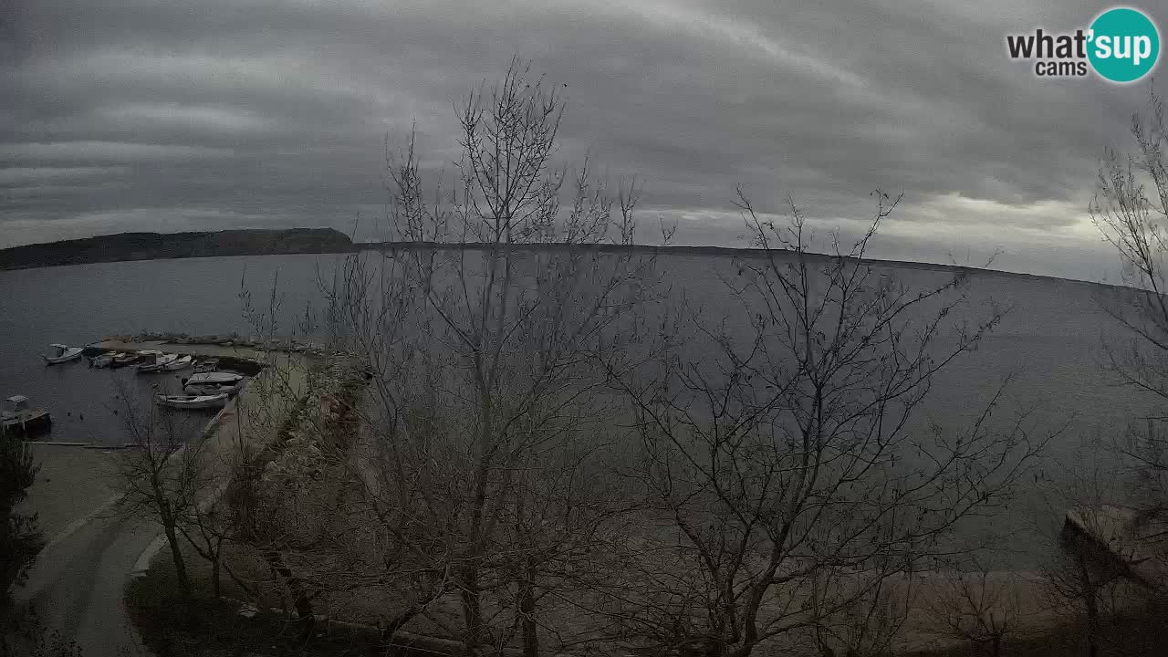 Camping Odmoree camera en vivo Ražanac – Dalmacia