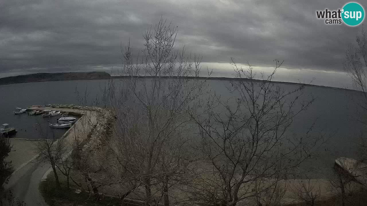 Camping Odmoree camera en vivo Ražanac – Dalmacia