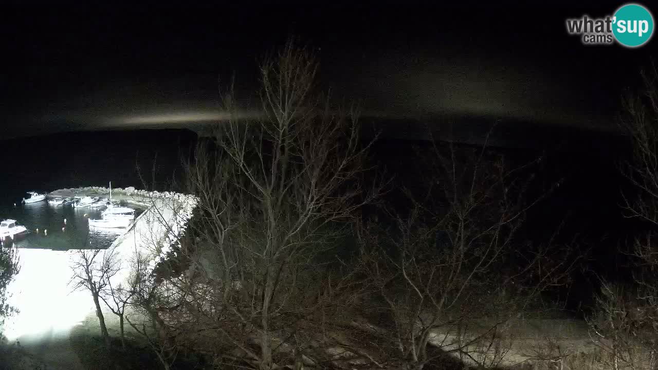 Kamp Odmoree spletna kamera Ražanac – Dalmacija