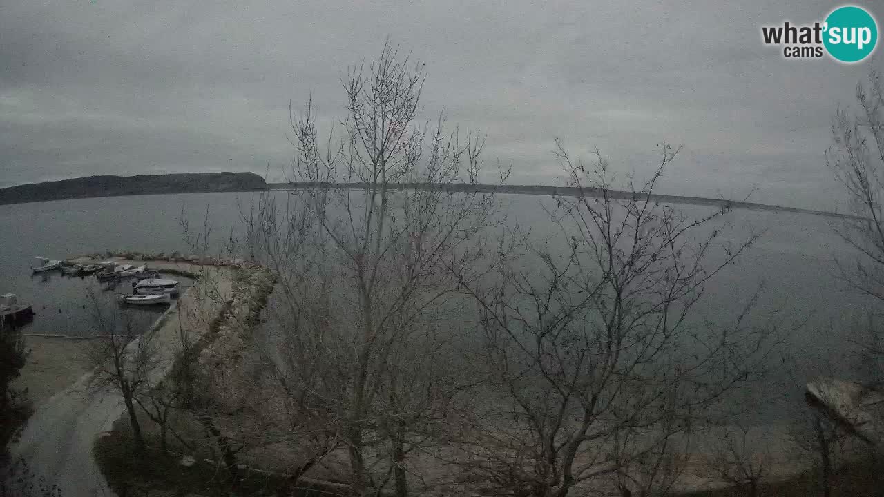 Camping Odmoree webcam Ražanac – Dalmazia