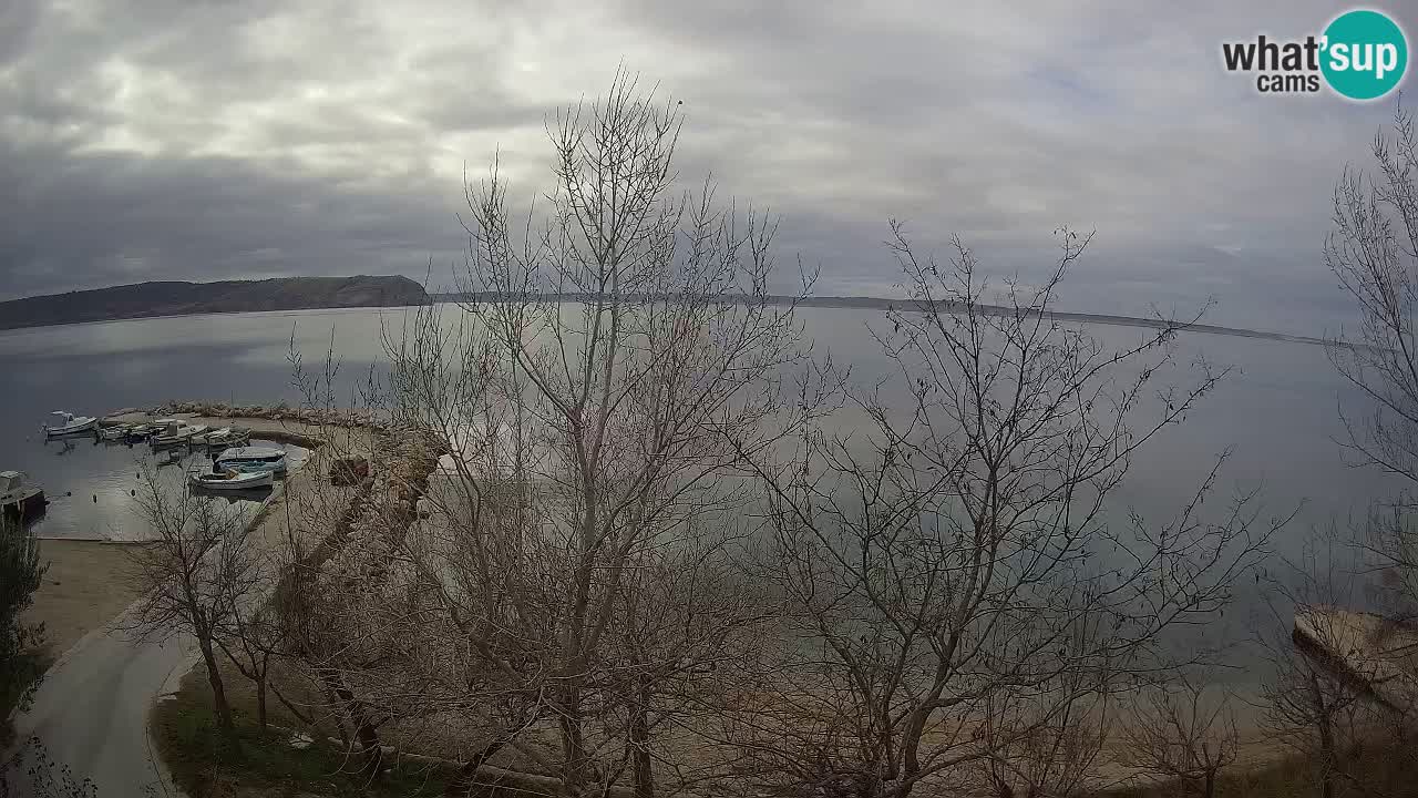 Camping Odmoree web kamera Ražanac – Dalmacija