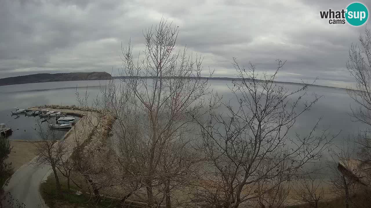 Camping Odmoree live webcam Ražanac – Dalmatien