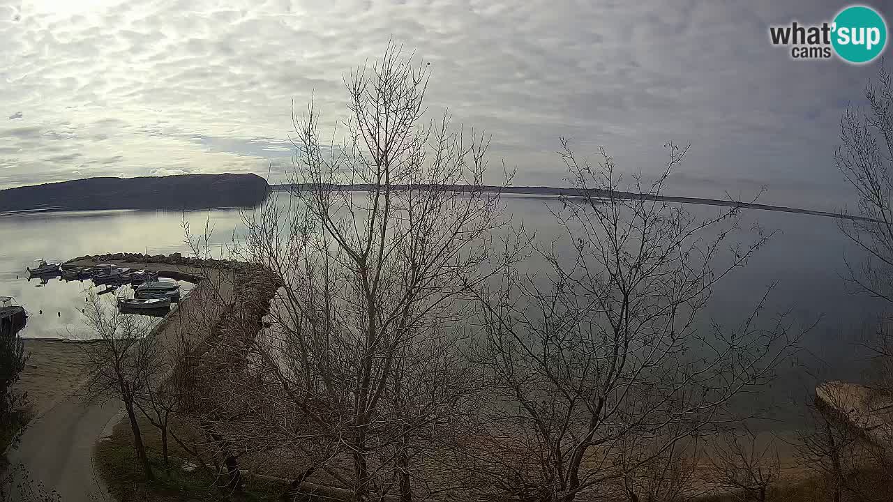 Camping Odmoree camera en vivo Ražanac – Dalmacia