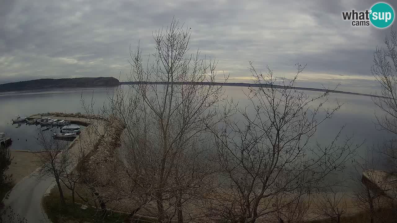 Camping Odmoree web kamera Ražanac – Dalmacija