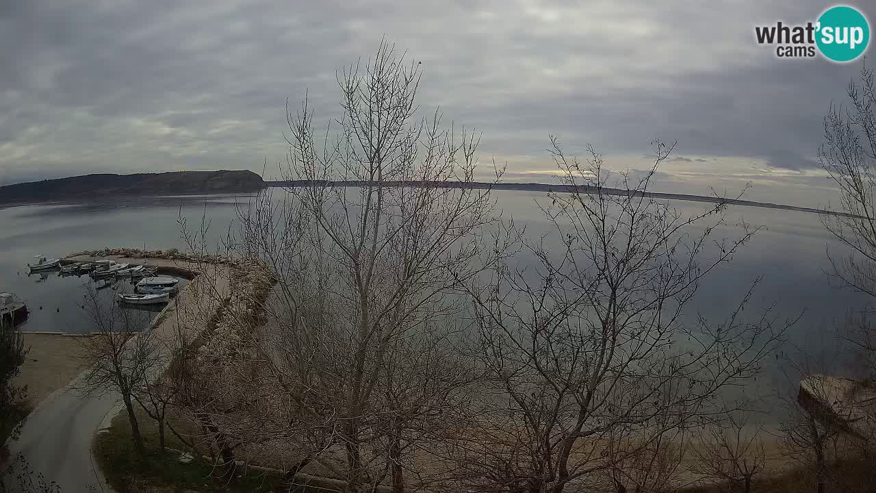 Camping Odmoree webcam Ražanac – Dalmazia