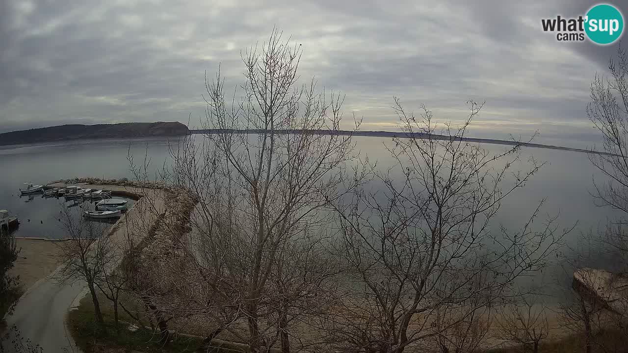 Camping Odmoree camera en vivo Ražanac – Dalmacia