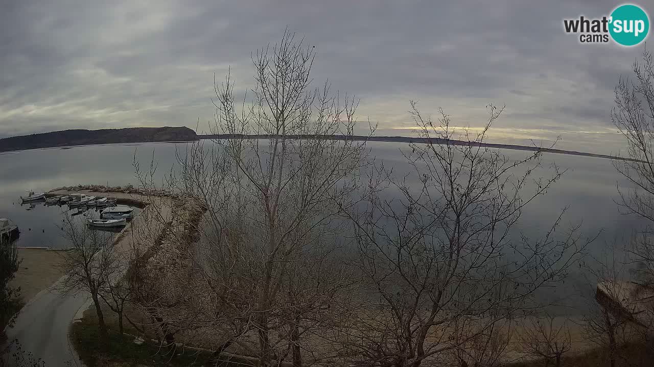 Camping Odmoree camera en vivo Ražanac – Dalmacia