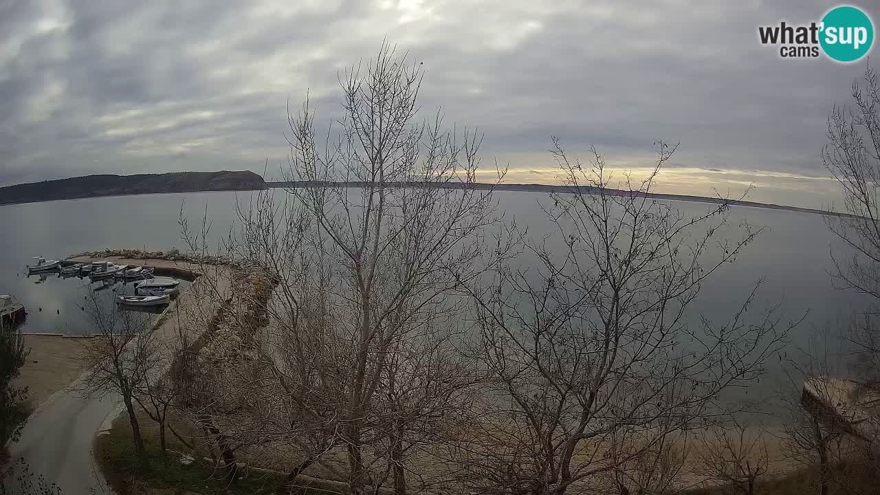 Kamp Odmoree spletna kamera Ražanac – Dalmacija