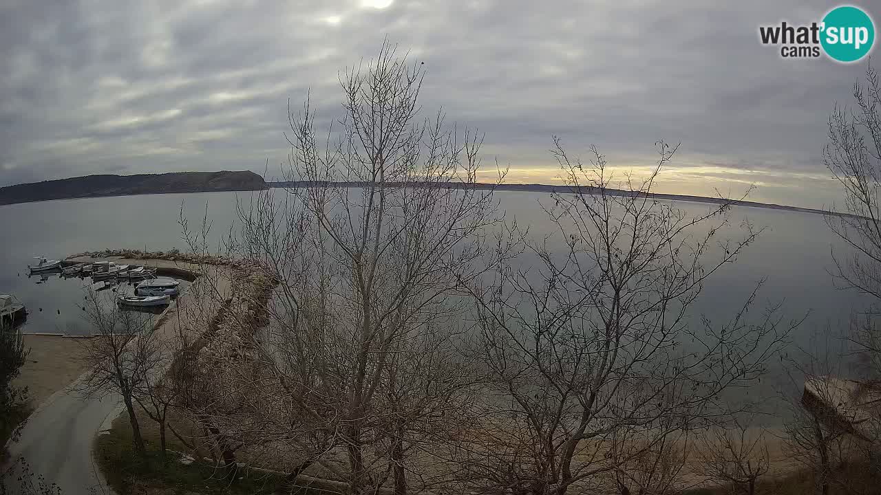 Kamp Odmoree spletna kamera Ražanac – Dalmacija