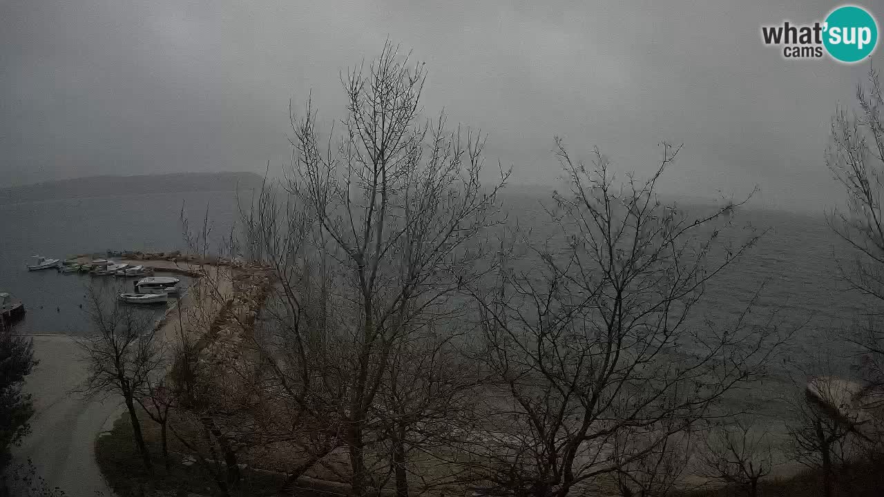 Kamp Odmoree spletna kamera Ražanac – Dalmacija