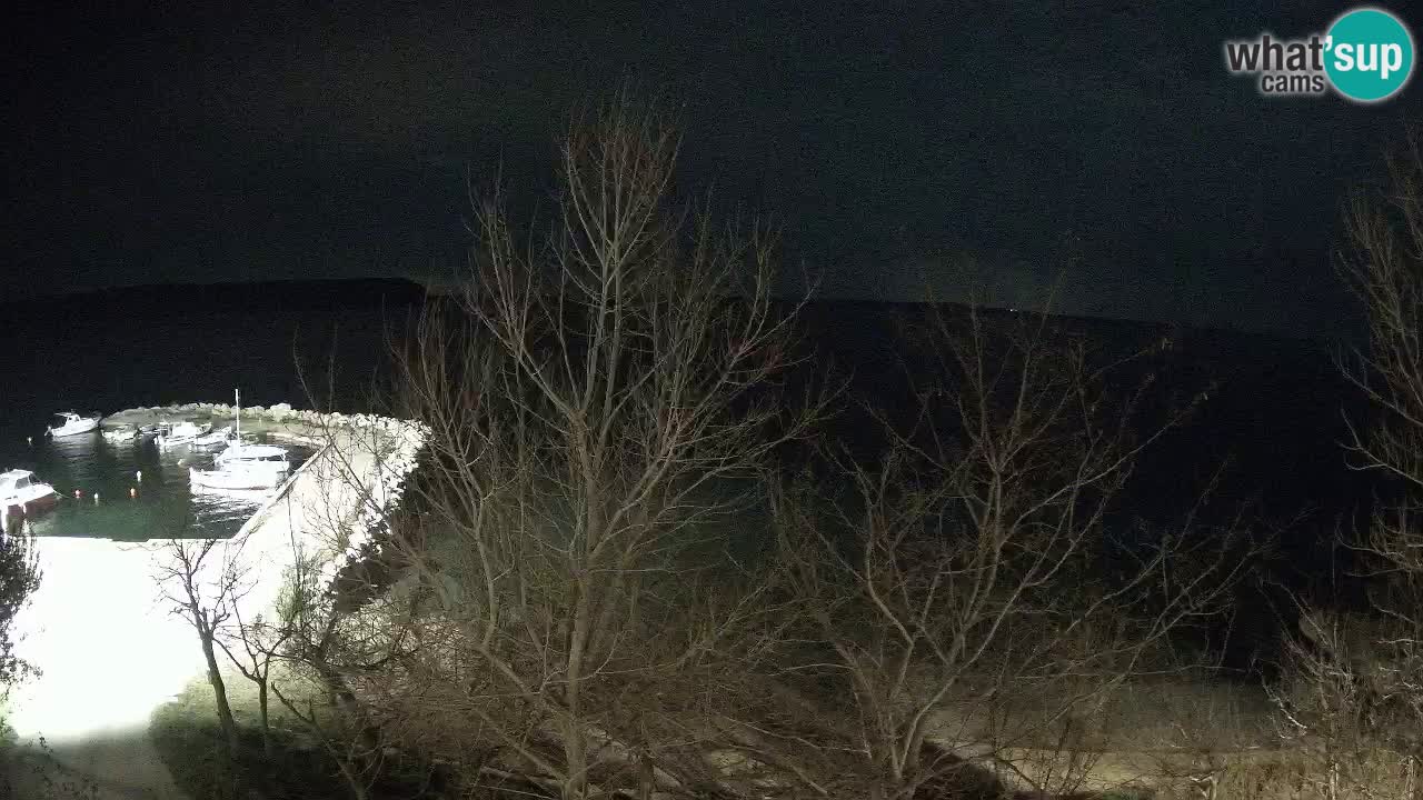 Camping Odmoree camera en vivo Ražanac – Dalmacia