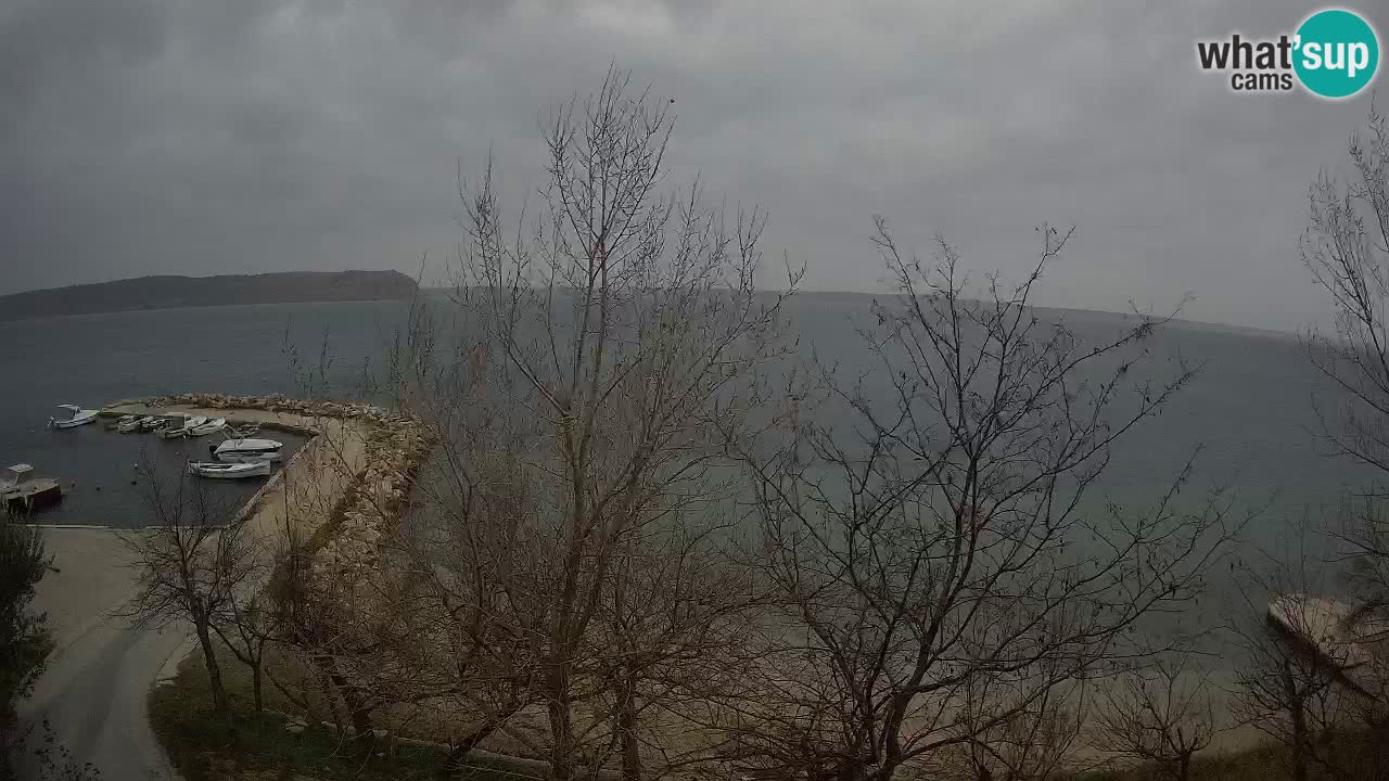 Camping Odmoree camera en vivo Ražanac – Dalmacia