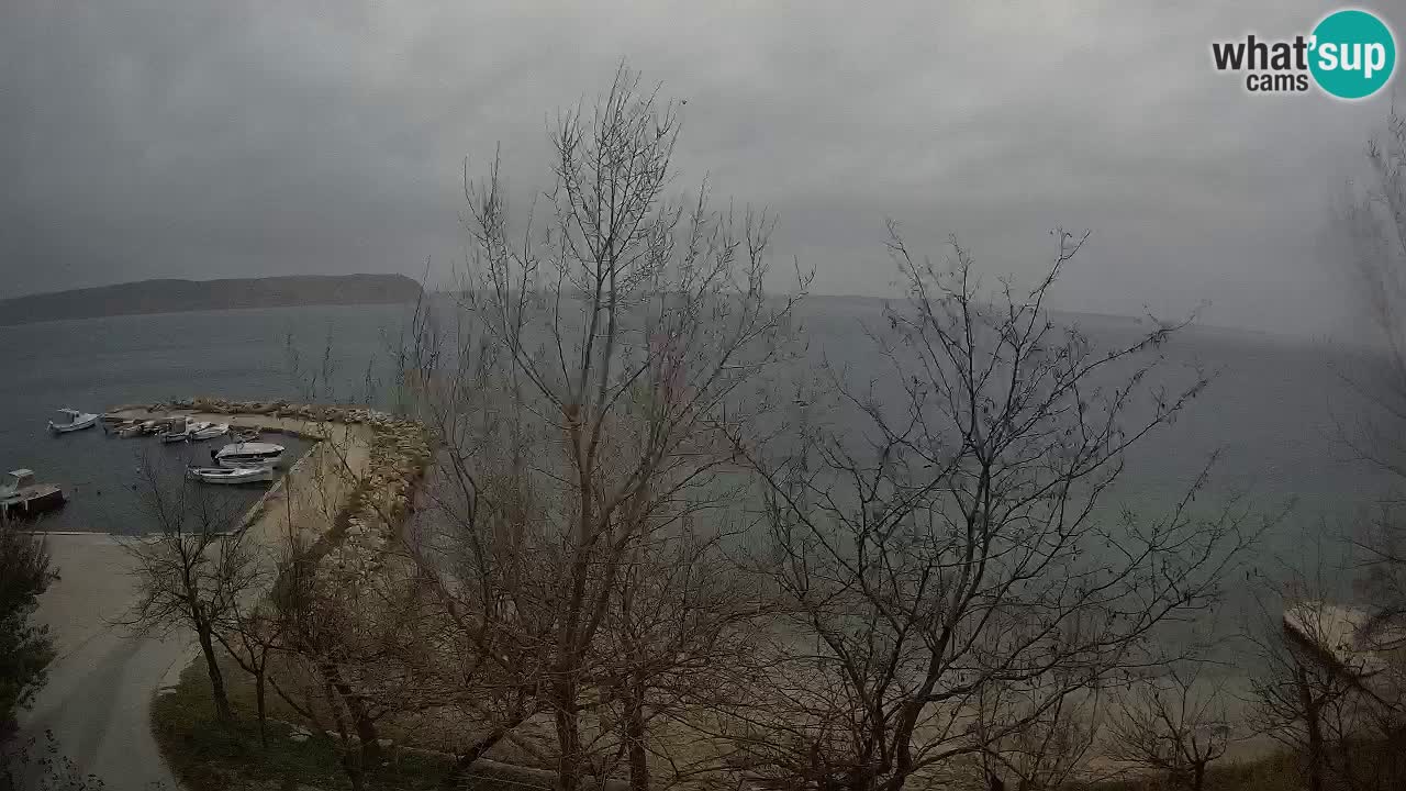 Camping Odmoree camera en vivo Ražanac – Dalmacia