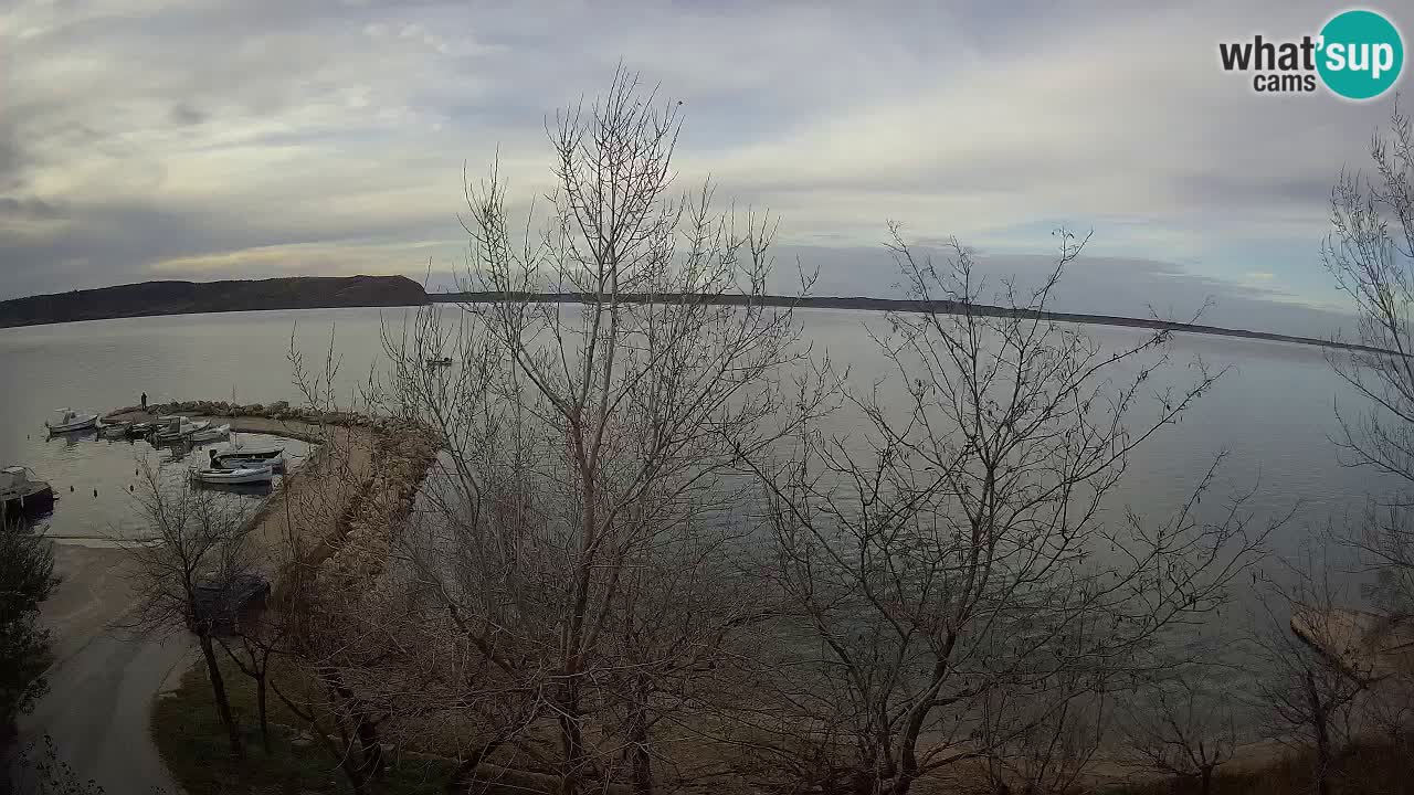 Camping Odmoree webcam Ražanac – Dalmatia