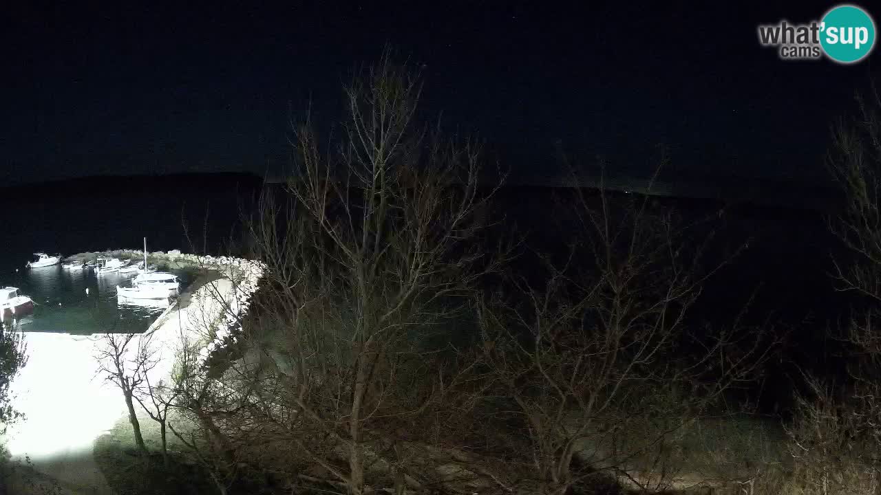 Kamp Odmoree spletna kamera Ražanac – Dalmacija