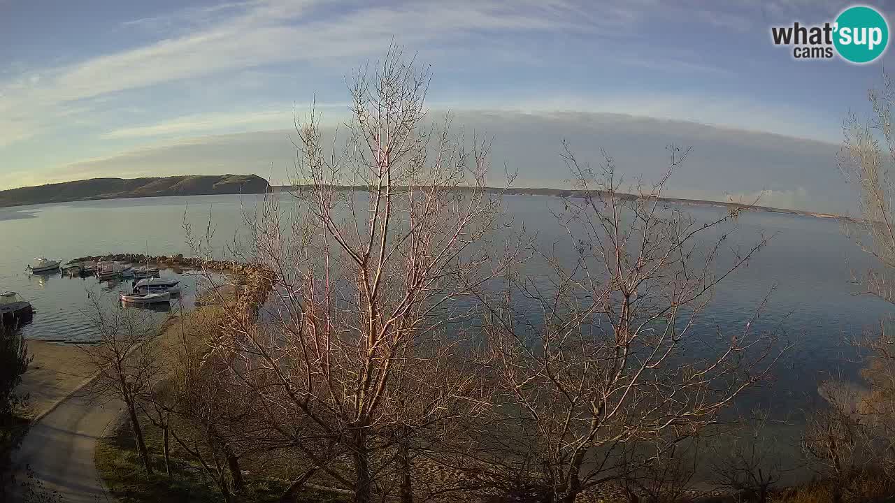 Kamp Odmoree spletna kamera Ražanac – Dalmacija