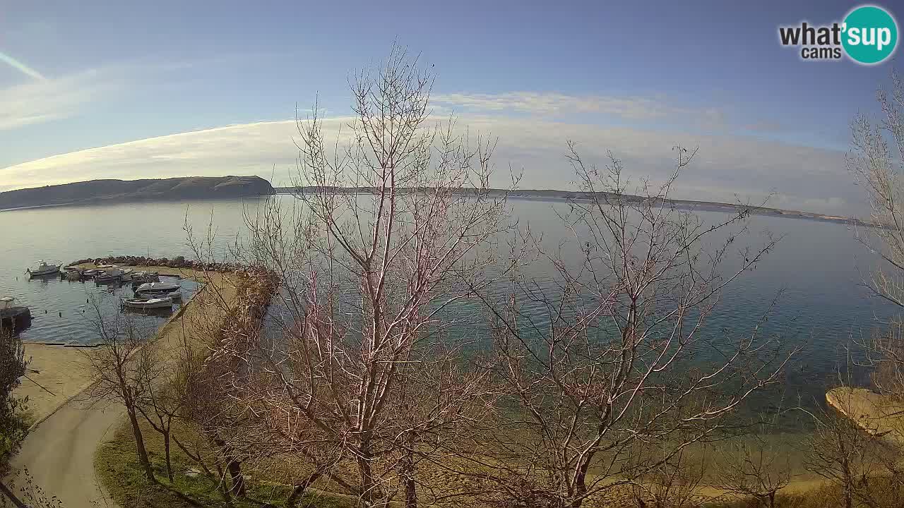 Kamp Odmoree spletna kamera Ražanac – Dalmacija