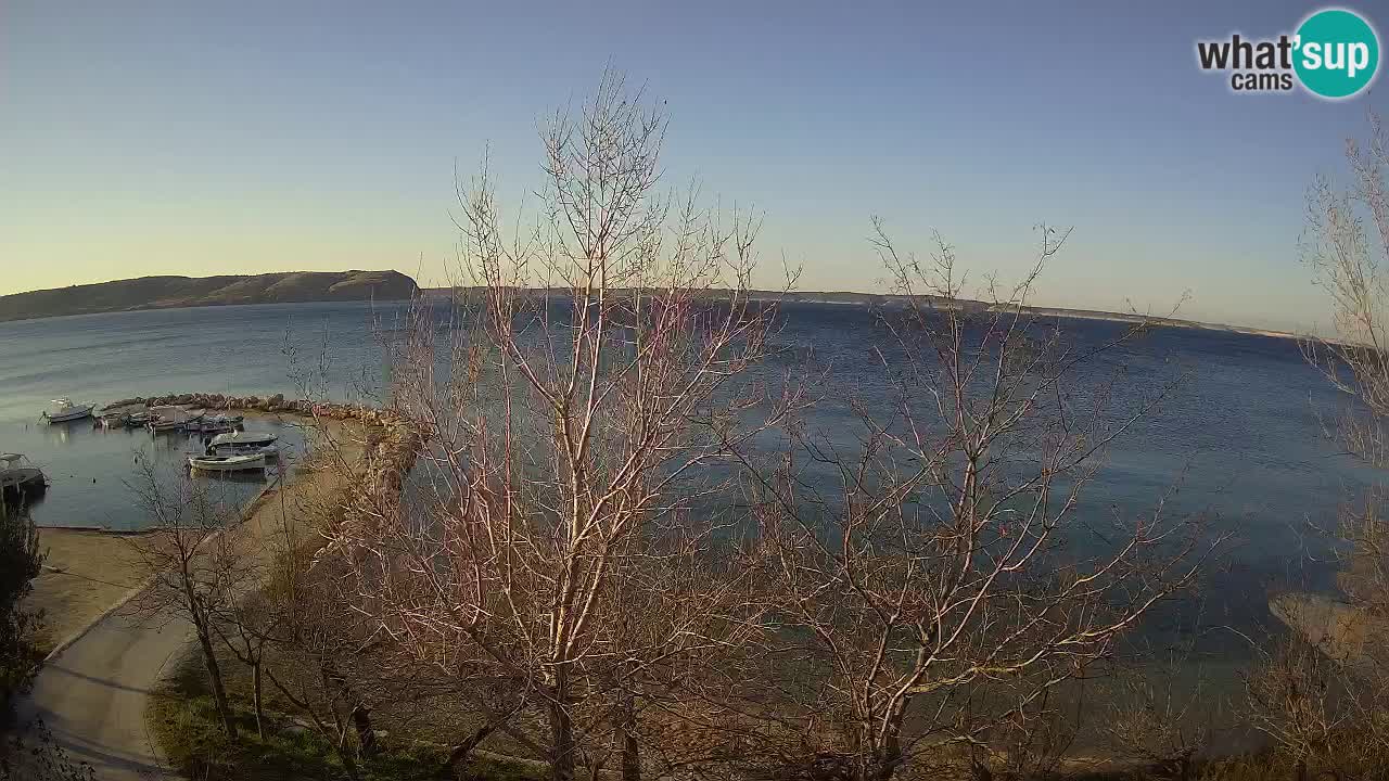 Kamp Odmoree spletna kamera Ražanac – Dalmacija