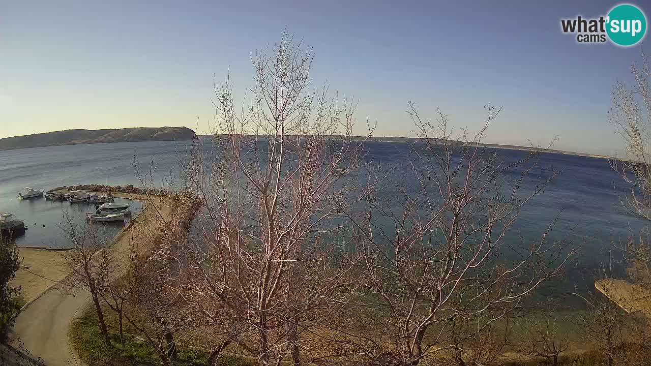 Kamp Odmoree spletna kamera Ražanac – Dalmacija