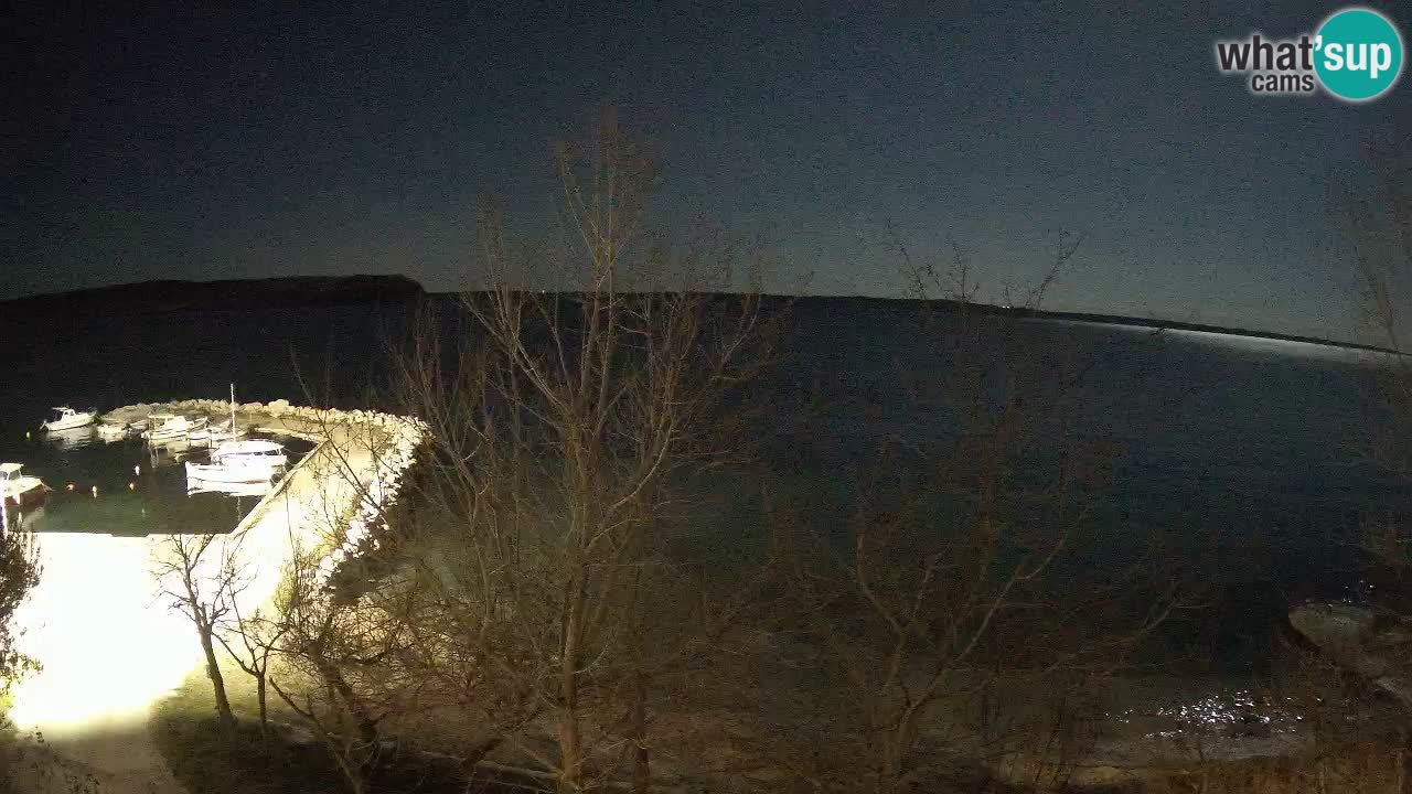 Camping Odmoree camera en vivo Ražanac – Dalmacia