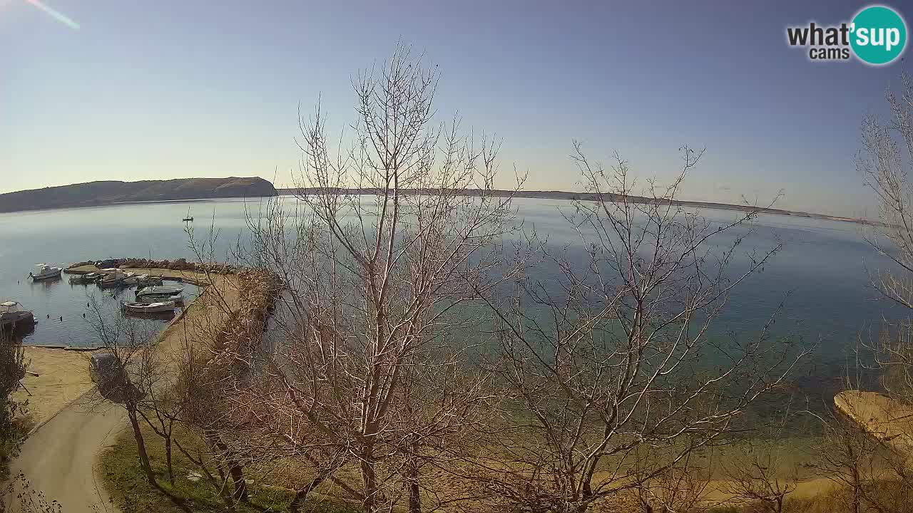 Kamp Odmoree spletna kamera Ražanac – Dalmacija