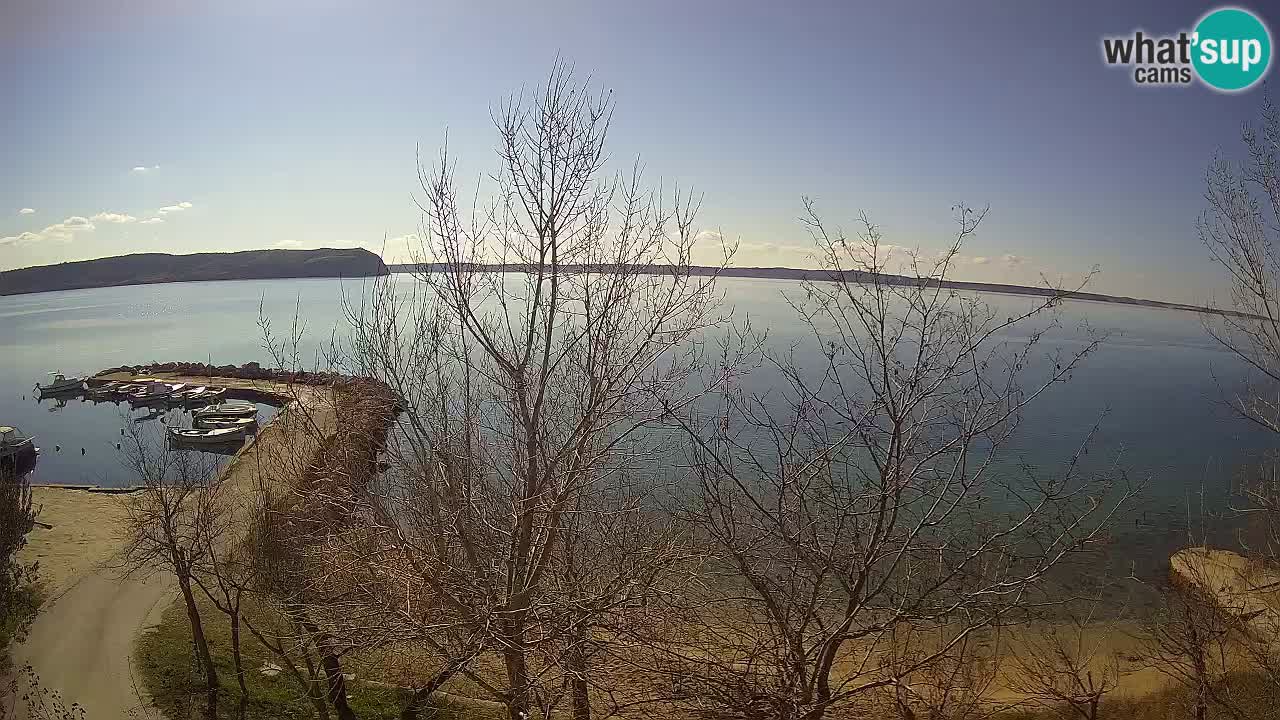 Kamp Odmoree spletna kamera Ražanac – Dalmacija