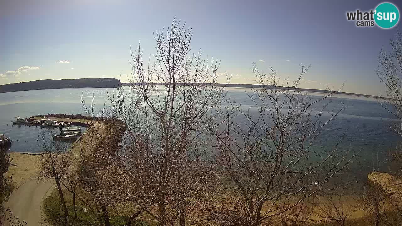 Kamp Odmoree spletna kamera Ražanac – Dalmacija