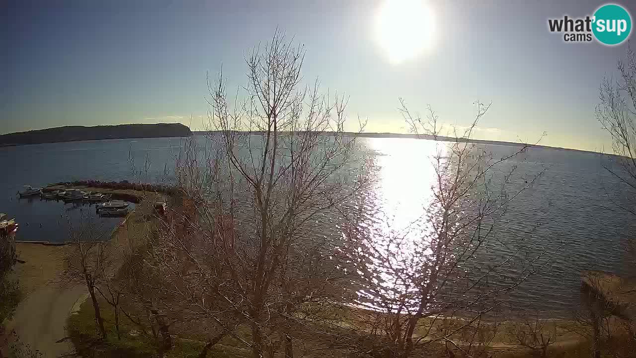 Kamp Odmoree spletna kamera Ražanac – Dalmacija